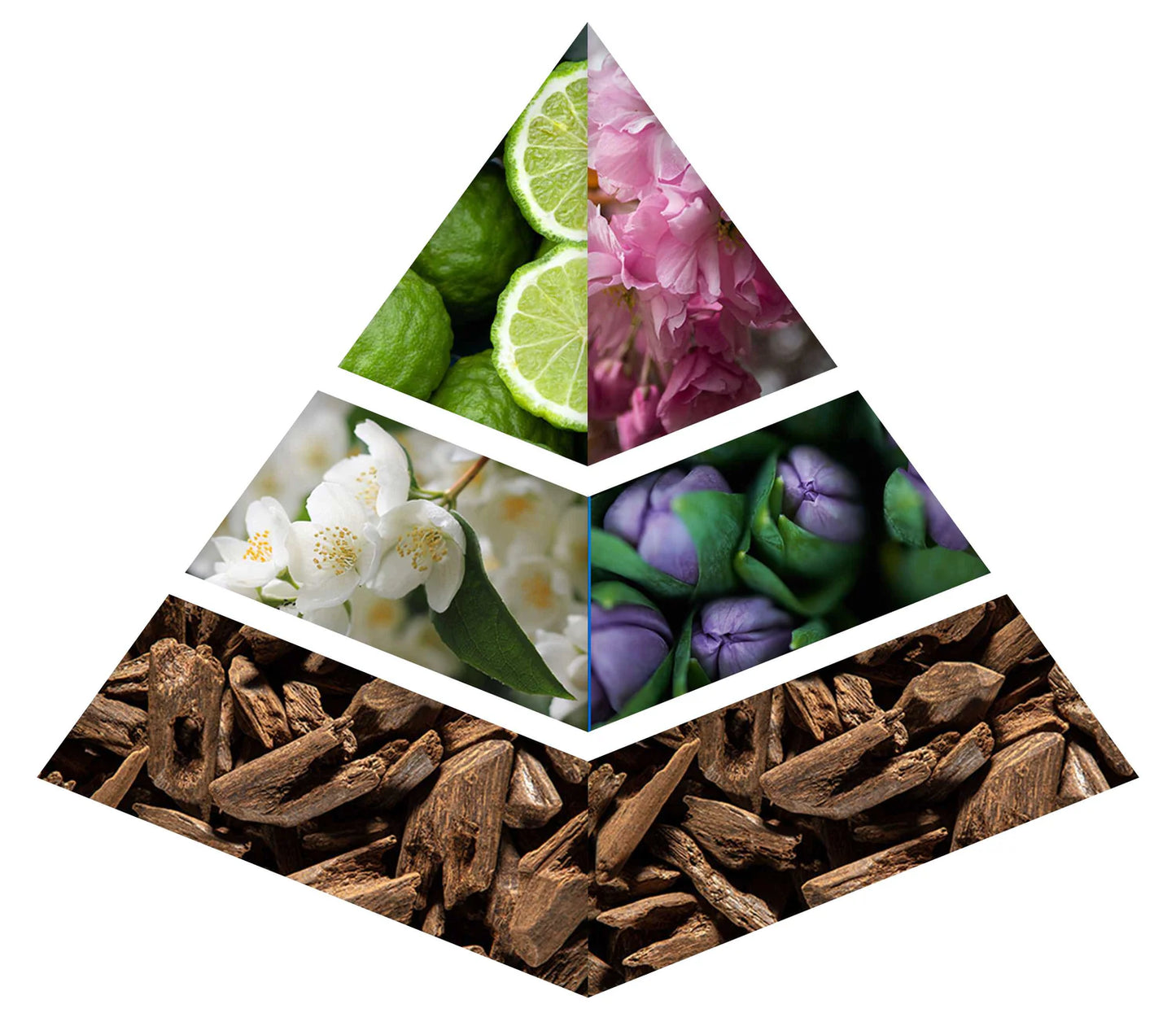 معطر نسيم الورد